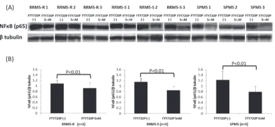 Fig 2. The effects of pretreatment with fingolimod-phosphate on BMECs in the presence of MS sera.