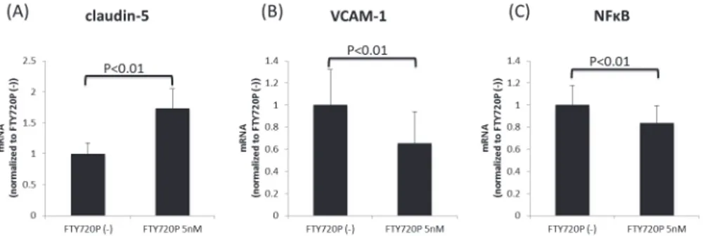 Fig 4. The effects of pretreatment with fingolimod-phosphate on the mRNA expression. The effects of pretreatment with fingolimod-phosphate on the mRNA expression of claudin-5, VCAM-1 and NFκB in the human brain microvascular endothelial cells in the presen