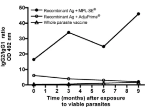 Figure 5. IgG2/IgG1 ratio as indicative of Th1/