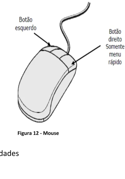 Figura 12 - Mouse 