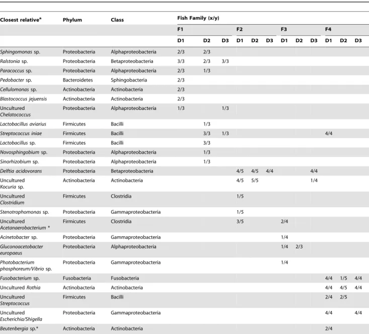 Table 2. Nearest-match identification of TTGE band sequences obtained from RNA extraction of rainbow trout intestinal microbiota with known sequences in the RDP II database.
