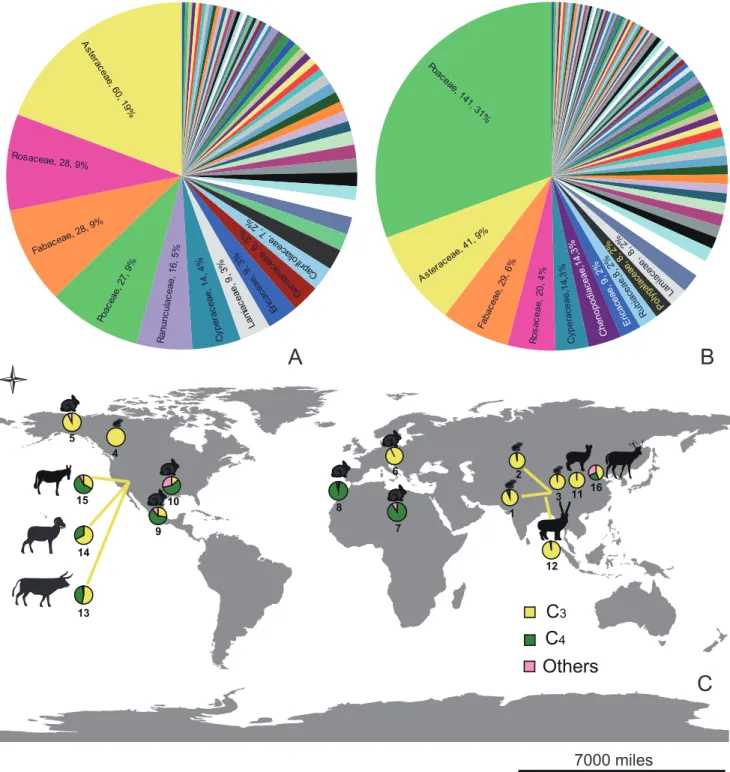 Figure 7. Comparing forage selection of extant laghomorphs and other herbivores. A. Forage selection of extant ochotonids, 63 families were reported as food (consumed directly or collected for hay piles) of extant ochotonids, these plant information mainly