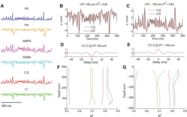 Fig 4. Performance of candidate LFP proxies. (A) Illustrations of predictions of LFP time courses from candidate LFP proxies