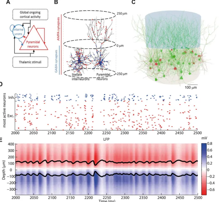 Fig 1. LIF network and 3D morphological network. (A) Sketch of the leaky integrate-and-fire (LIF) network