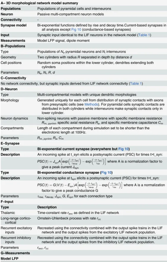 Table 3. Summary of 3D network model of multi-compartmental neurons.