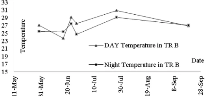 Figure  13:  Averaged  surface  temperatures  in  test  sample  (treatment B), in day and night time 