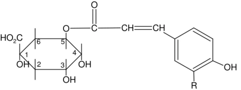 Figura 5. Estrutura dos ácidos clorogênicos. 