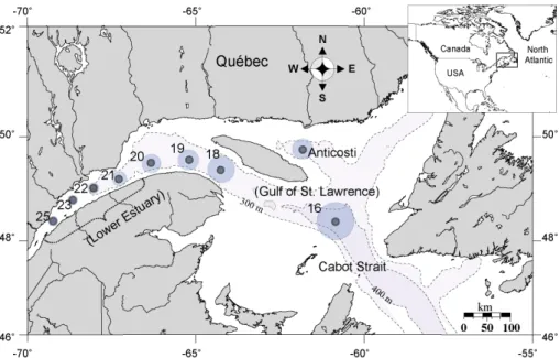 Fig. 1. Sampling locations in the St. Lawrence Estuary and Gulf. Bathymetric contours outline the Laurentian Channel along the 300 and 400 m isobaths