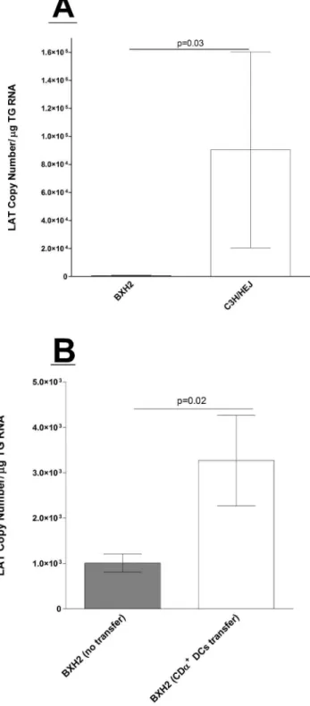 Figure 6. Quantitation of latency in BXH2 mice infected with HSV-1. A) Infection of mice with virulent HSV-1 strain McKrae