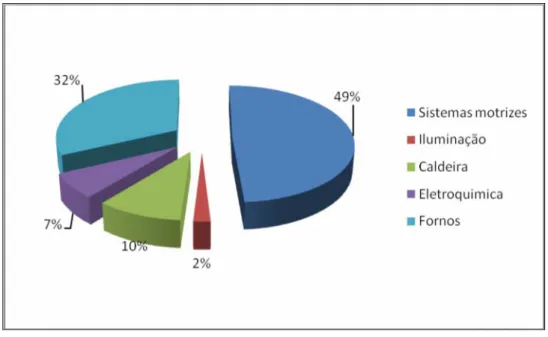 Figura 1.1 - Perfil de consumo por tipo de carga na indústria. 