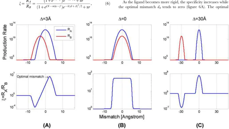 Figure 5. The dependence of specificity on mismatch. Each column is for a specific difference between the competing targets, D = s A 2s B , given in A ˚ 
