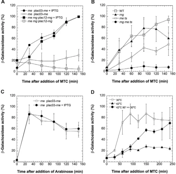 Figure 1. Effect of RNase E and/or G on SOS Response. (A) Effect of rne and rne rng double null mutations on SOS