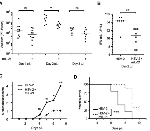 Figure 4. mIL-21 treatment has anti-viral effect in the innate immune response. 8 weeks old WT mice were infected intra-vaginally with 6.7610 4 PFUs HSV-2