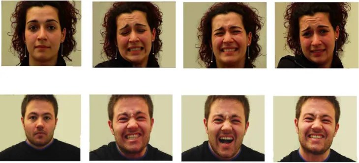 Figure 1. Sample of visual stimuli: actors’ neutral and painful facial expression.