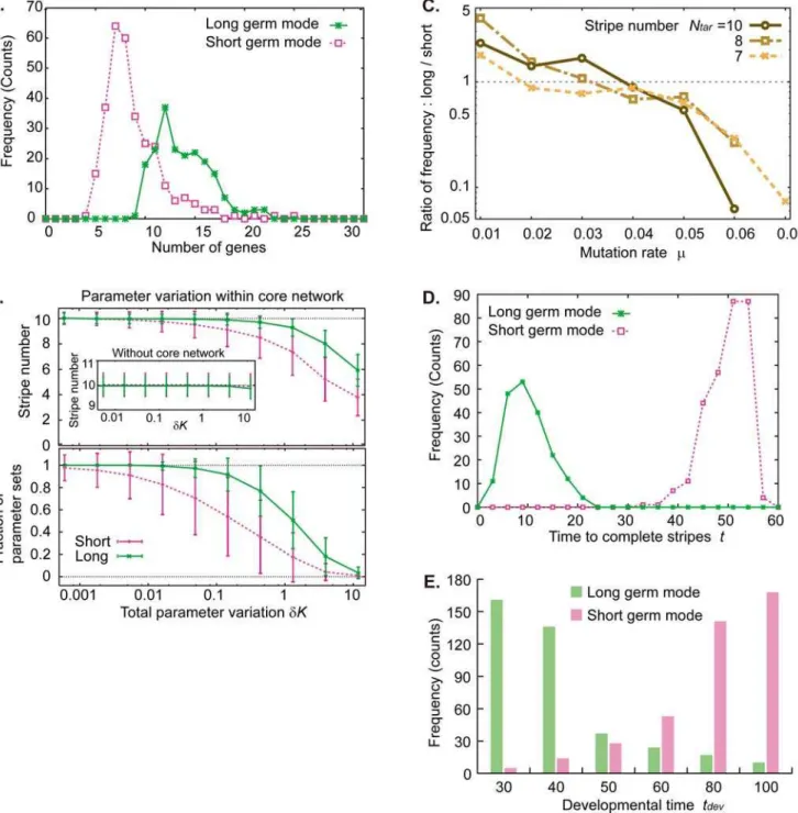 Figure 4. Trade-offs between long and short germ modes in development (A, B, D) and evolution (C, E)
