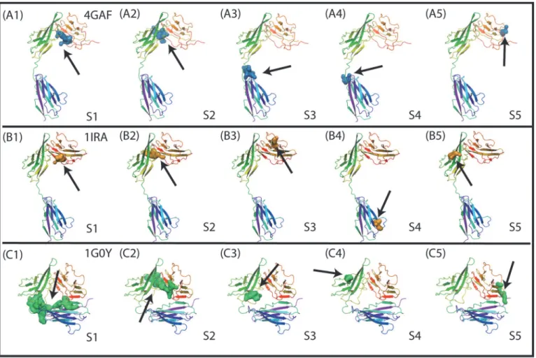 Fig 4. Small molecule binding site determined by the Sitemap analysis in three different IL-1R1 conformations extracted from the crystal structures