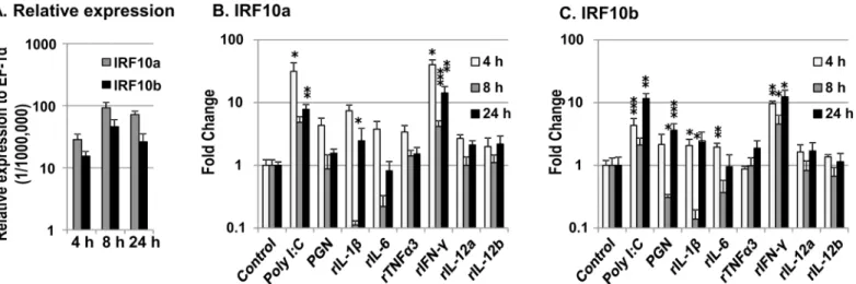 Fig 5. Modulation of expression of trout IRF10a and IRF10b in primary HK macrophages. The relative expression levels in the control cells are shown in (A)
