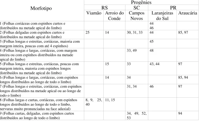 Tabela  7  -  Morfotipos  identificados  entre  as  progênies  de  Maytenus  ilicifolia  do  Banco  de  Germoplasma de Ponta Grossa, PR