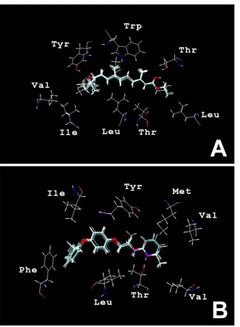 Figure 6. Three-dimensional structure of the pseudoreceptor models for Class I (A) and Class II (B) JH agonists