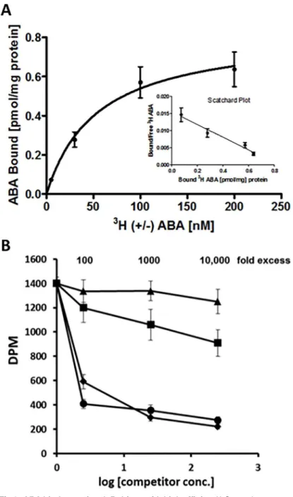 Fig 3. ABA binds to spinach Rubisco with high affinity. A) Saturation curve and Scatchard plot representing specific binding of [ 3 H]-(±)-ABA, as a difference between total and non-specific binding signal.