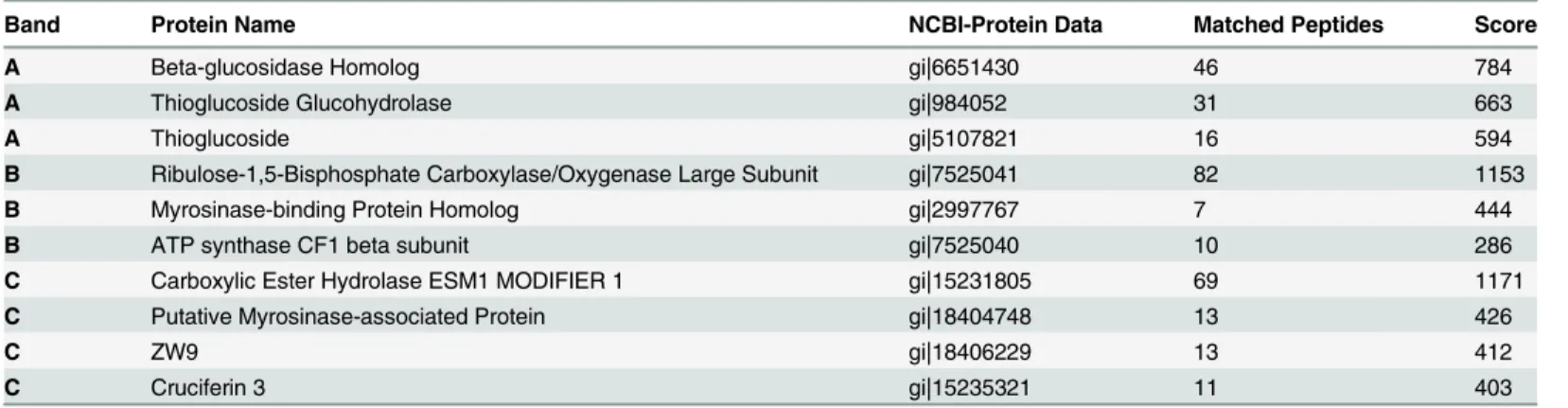 Table 2. Putative ABA-Binding Proteins Identified from A. thaliana plant extracts.