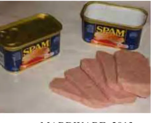 Figura 2 - Latas de carne suína da marca “SPAM” 