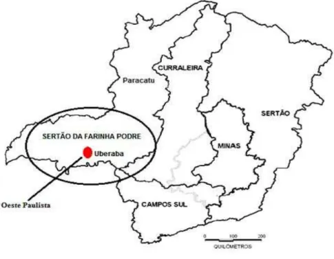 Figura 2 – Uberaba, importante entreposto comercial do século XVIII 