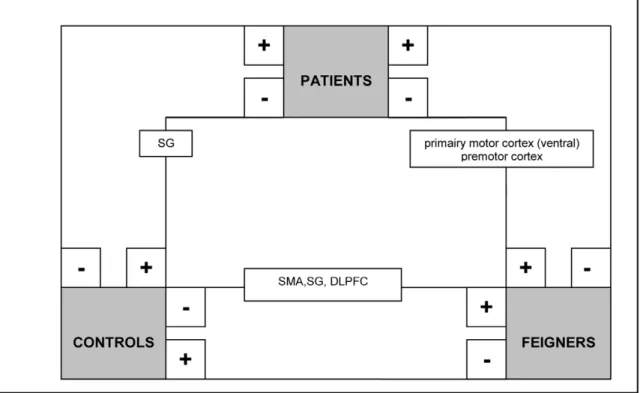 Figure 4. Schematic summary of significant clusters (P,0.05, whole-brain corrected at cluster level; k.200) in between-group comparisons (flipped data): movement imagery in the affected hand (analysis C)