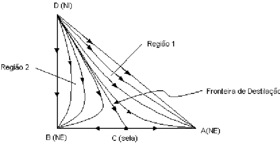 Figura 2.11  –  Mapa de curva residual apresentando uma barreira de destilação (FOUCHER et  al., 1991)