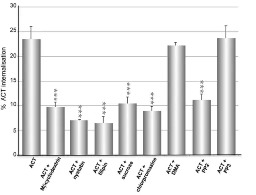 Figure 10. Endocytosis of ACT and its CD11b/CD18 receptor is mediated by Src Tyr kinases in J774A.1 cells