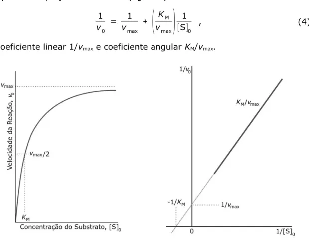 Figura 1: Dependência da velocidade com a concentração do substrato.