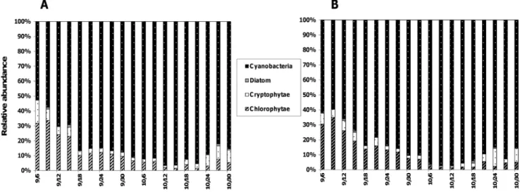 Figure 1. Composition of phytoplanktonic community. Relative contributions of the different taxonomic groups within the phytoplanktonic community at 0.5 m (A) and in the depth of maximum chlorophyll, MF (B) in Lake Aydat, September 6 th to October 30 th 20