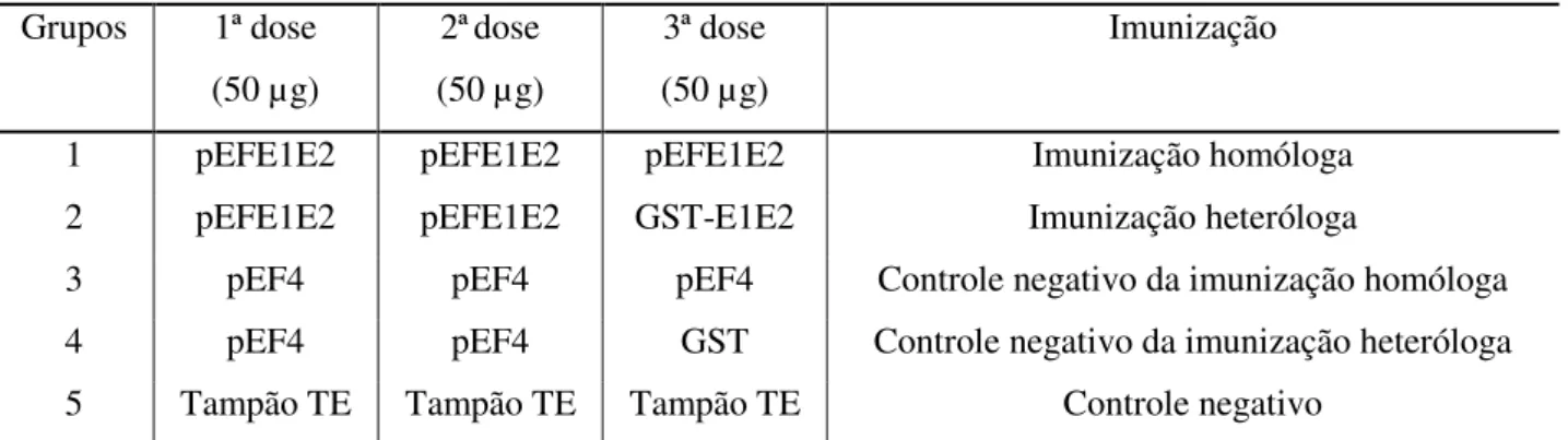 Tabela I. Composição dos inóculos utilizados nos diferentes grupos de imunização. 