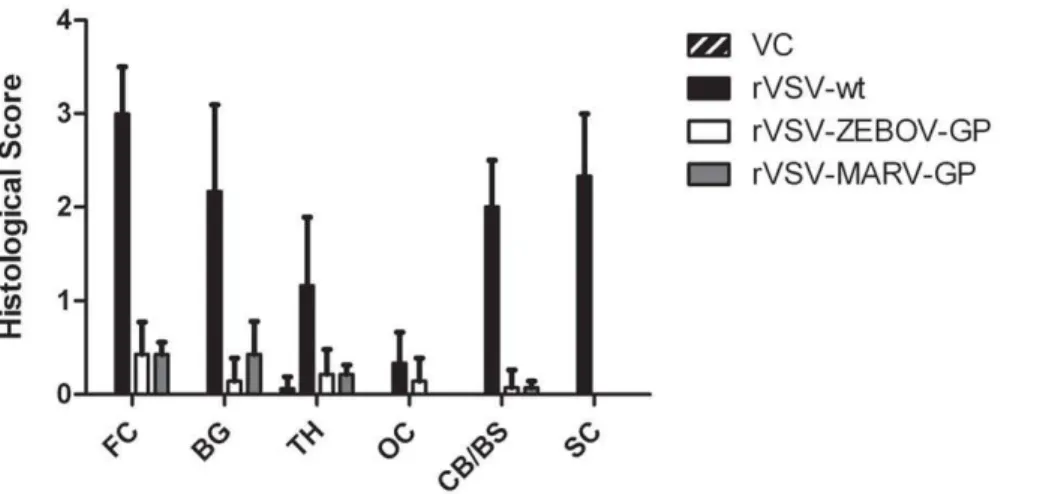 Figure 5 represents the average of the combined left and right hemisphere scores from Table 4 for each group in the study in order to compare the combined histological scores from neural tissues.