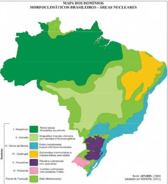 Figura 8: Mapa dos Domínios Morfoclimáticos Brasileiros Áreas Nucleares 