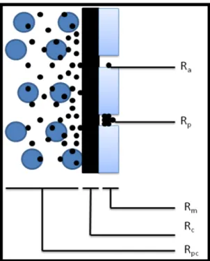Figura 7- Resistências ocorridas em uma membrana devido aos diferentes tipos de fouling:  