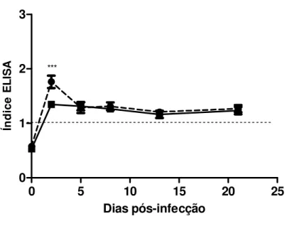 Figura 8: Cinética de detecção de antígenos circulantes S. venezuelensis em amostras de lavado  bronco  alveolar  de  ratos  não  imunossuprimidos  ou  imunossuprimidos  e  experimentalmente  infectados