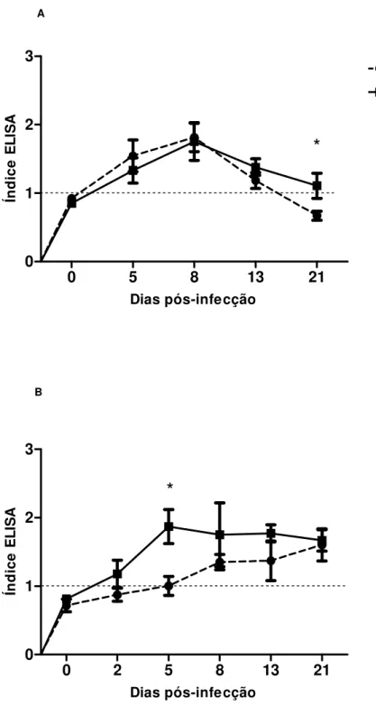 Figura 9: Cinética de detecção de IgG específica para larva de S. venezuelensis em amostras de  soro  (A)  e  em  amostras  de  lavado  bronco  alveolar  (B)  de  ratos  não  imunossuprimidos  ou  imunossuprimidos experimentalmente infectados