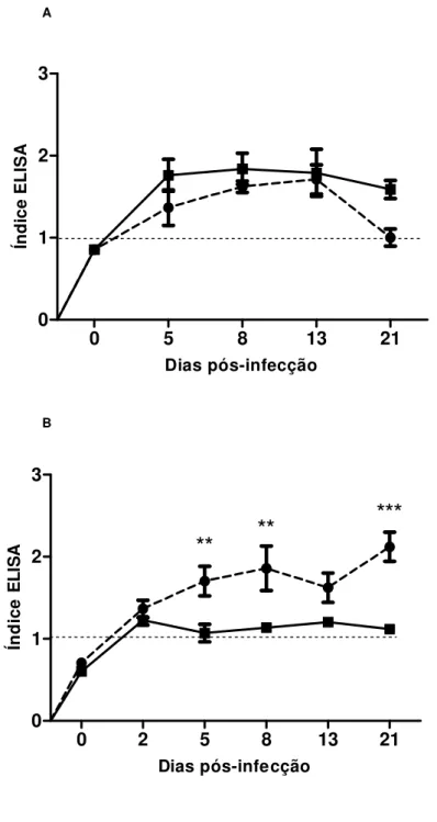 Figura 10: Cinética de detecção de imunocomplexos de S. venezuelensis em amostras de soro  (A)  e  em  amostras  de  lavado  bronco  alveolar  (B)  de  ratos  não  imunossuprimidos  ou  imunossuprimidos experimentalmente infectados