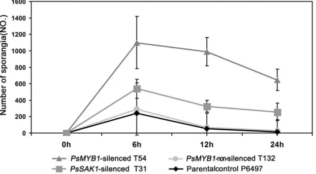 Figure 3. Effect of PsMYB1 silencing on sporangial development. The numbers of sporangia were counted at 0, 6, 12, and 24 h after inducing P