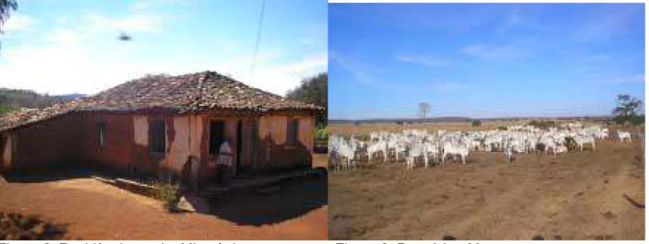 Figura 2: Residência rural  Miravânia 
