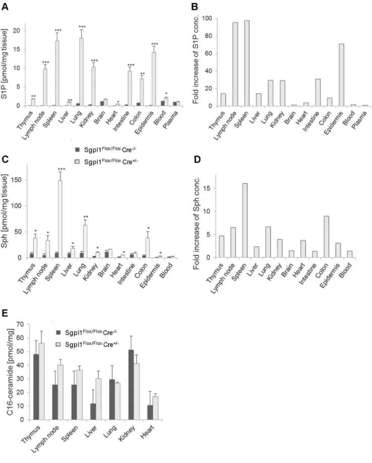 Figure 2. Sphingolipid concentration in selected tissues of inducible Sgpl1-deficient mice
