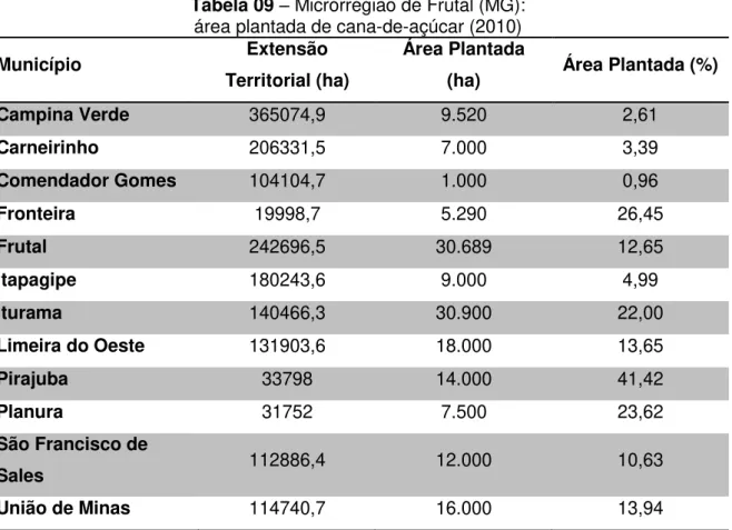 Tabela 09  –  Microrregião de Frutal (MG):  