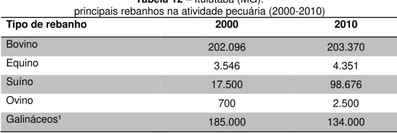 Tabela 13  –  Ituiutaba (MG):  