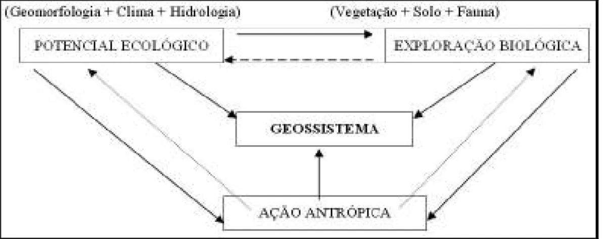 Figura 1: Esquema teórico do Geossistema. 