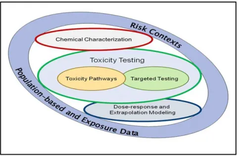 Figure 1. Schematic of components required to implement the new vision of toxicity testing in the 21 st century ( needs permission from NRC TT21C report )