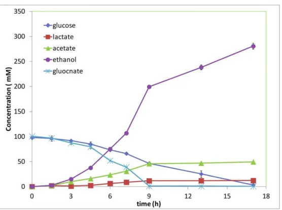 Figure 6. Ethanol and acetic acid production from glucose and gluconate co-fermentation.