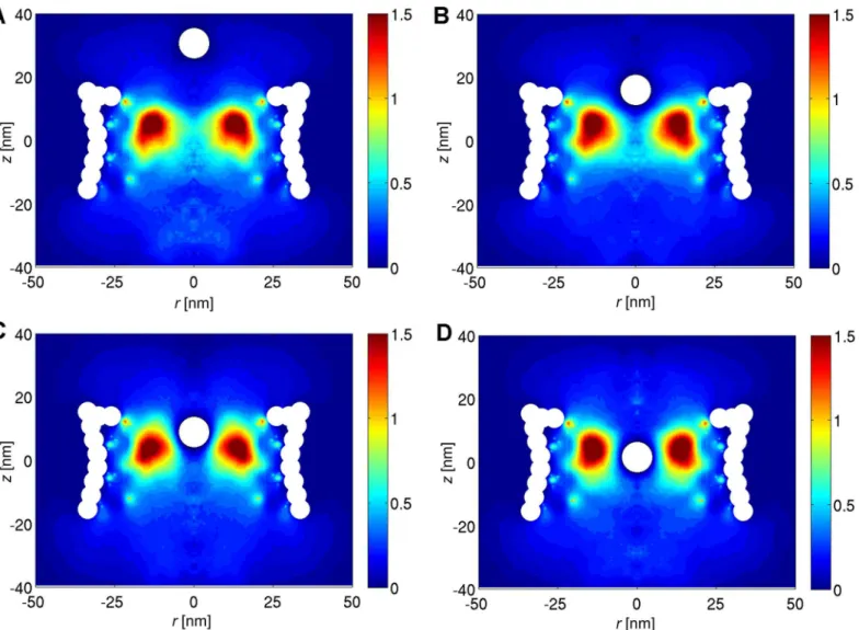 Fig 4. The 2D density plots of the FG-Nups taken from the umbrella simulations. The vertical distance from the center of the cargo to the central plane of the NPC is (A) 30 nm, (B) 15.6 nm, (C) 8.3 and (D) 1.1 nm, respectively.