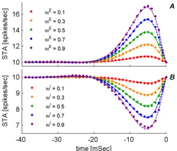 Figure 3. Spike Triggered Average (STA) of a single presynap- presynap-tic input. The conditional mean firing rate of the presynaptic cell given that the postsynaptic cell has fired at time t~0, is plotted as function of time