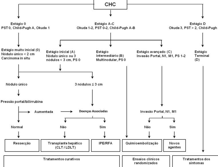 Figura 1 -   Sistema  de  Barcelona  para  estadiamento  clínico  em  câncer  hepático  (Barcelona Clinic Liver Cancer Staging System- BCLC) 